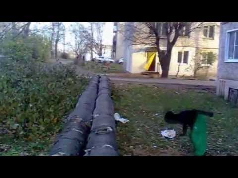 Oleg Gavrilov progress for 1 year