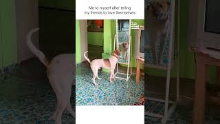 Miniature vidéo