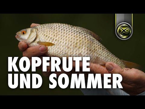 ES LÄUFT! Mit der KOPFRUTE am stehenden Gewässer