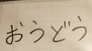 アイスブレイク師匠とナナセキヨマサさんと飲み会  スカイプであしずり