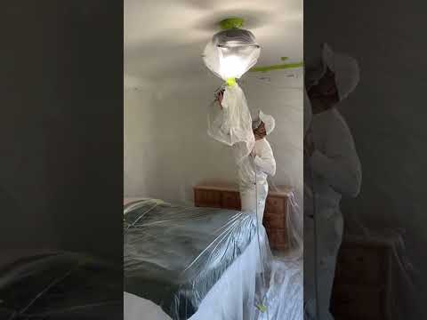 Frog clan painting group video.