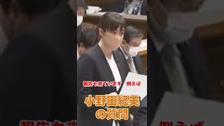 #小野田紀美 #政治 #新大臣