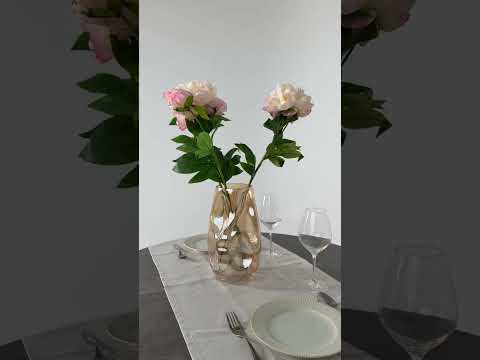 Youtube-видео 
