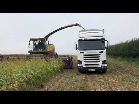 New Holland SPFH FR920 forager with a CNH 30ft Draper in Maize