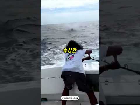 청새치 낚시 중 수상함을 눈치챈 현지 가이드