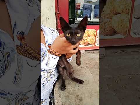 Miyan Miyan Pune shots