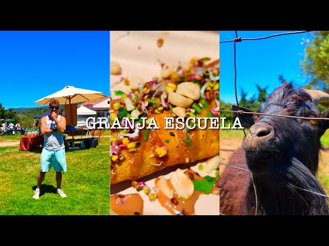 Los Barrios: Hidden Market in the Spanish Countryside