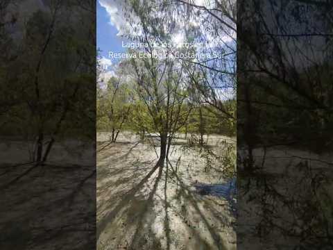 La Laguna de los Patos en la Reserva Ecológica Costanera Sur. #turismo #naturaleza #arg #argentina