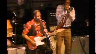 Muddy Waters & Rory Gallagher [ 3 ] ~ Tribute (Modern Electric Chicago Blues 1972)