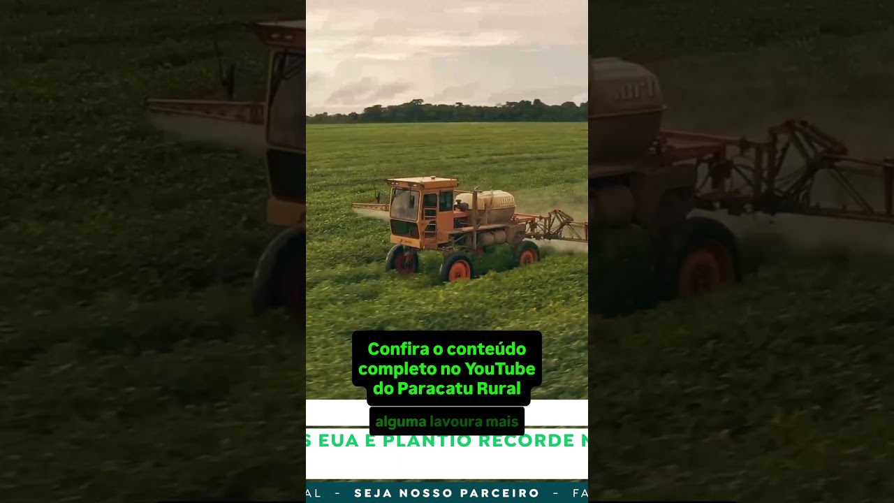 Soja e Milho: Geada nos EUA e Déficit Global Vão Mexer com os Preços?