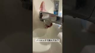 検証動画‼️ #カップル #cat #fatcats #funnycats #cats #ねこ　#かわいい　#癒し　#恋愛