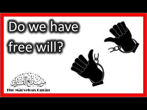 YT10 Do we have free will? By Dr. Hany Atchan
