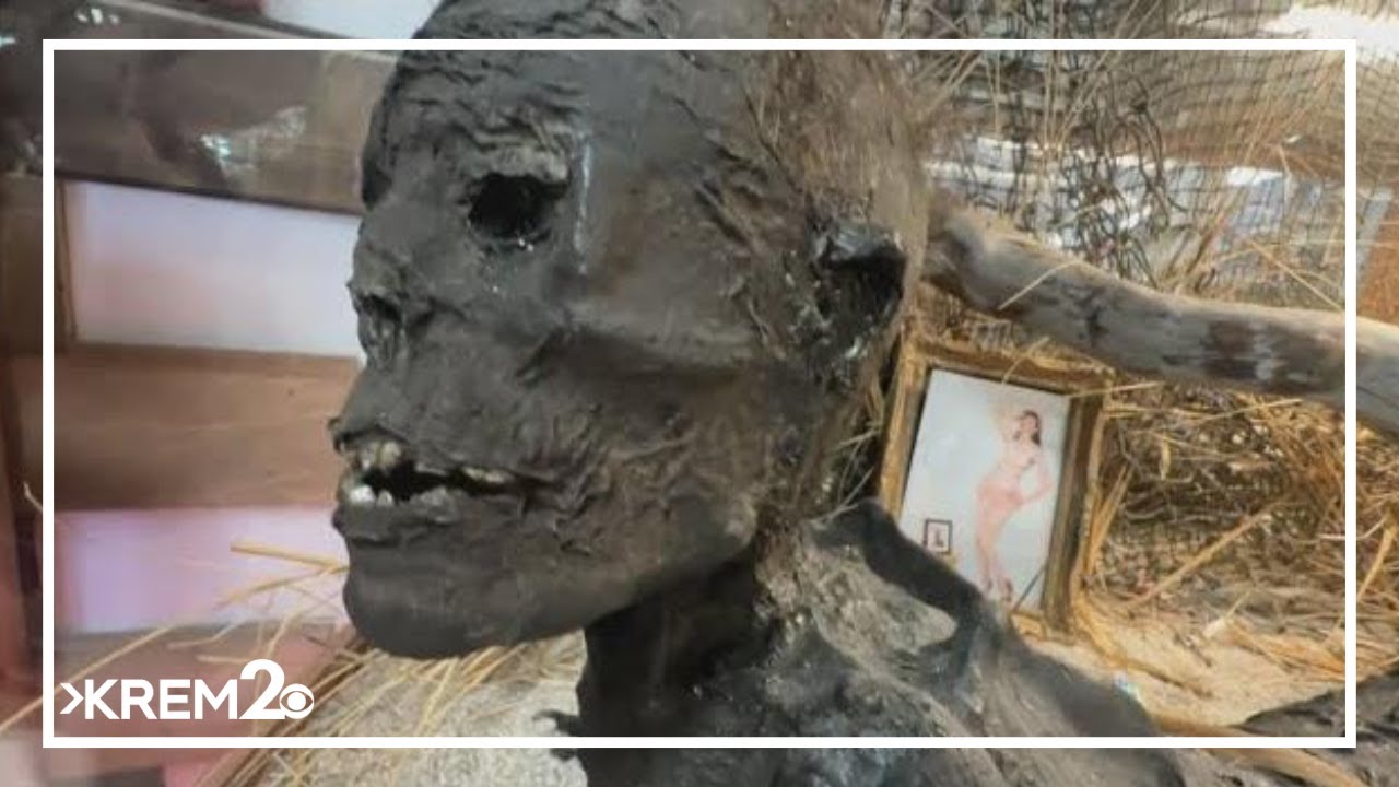 Bartell's Backroads: Marsh's Free Museum