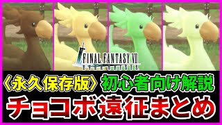 【FF7EC】チョコボ遠征最速攻略法を徹底解説します！これを見ればまるっと分かっちゃいます！チョコボ育成【ファイナルファンタジー7エバークライシス/FF7EverCrisis】