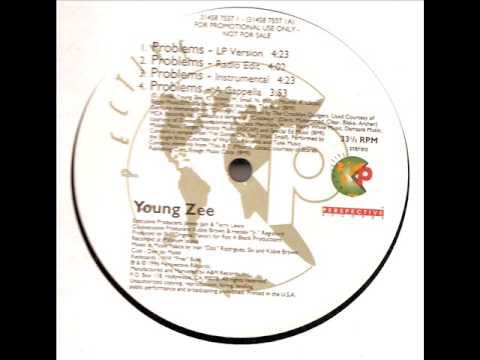 Young Zee - No Problems