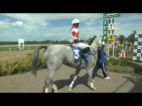 SINT FLORIDA 220317 c01 1° LO FELIPE (BRZ)