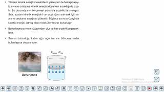 Eğitim Vadisi 9.Sınıf Kimya 18.Föy Maddenin Halleri Konu Anlatım Videoları