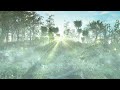 JungleAdventure V3 360 Vimeo