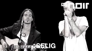 Selig - Ohne Dich (Live)