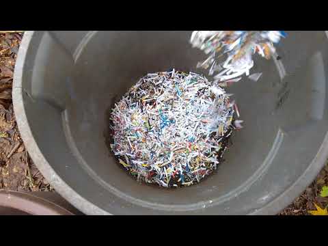 Feeding my worms junk mail #NoWaste around here!!! #GardenTour