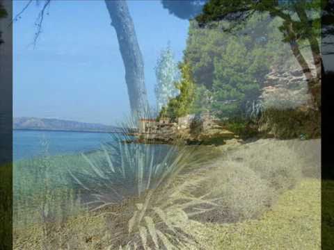 KLAPA ŠIBENIK - ZLATNI PIR