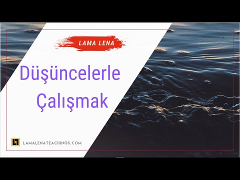 Düşüncelerle Çalışmak (Zihnin Doğasını İşaret Çalışması da içerir)