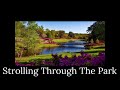 Uplifting Piano Music Instrumental Strolling Through The Park Earthpiano Music