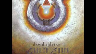 David Sylvian - Upon This Earth