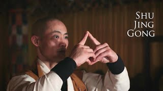 Shu Jing Gong · Die buddhistische Qi Gong Form · © Shaolin.Online Trailer 歐洲少林寺