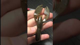 Get more action out of craw fishing lures #fishing #bassfishing #shorts