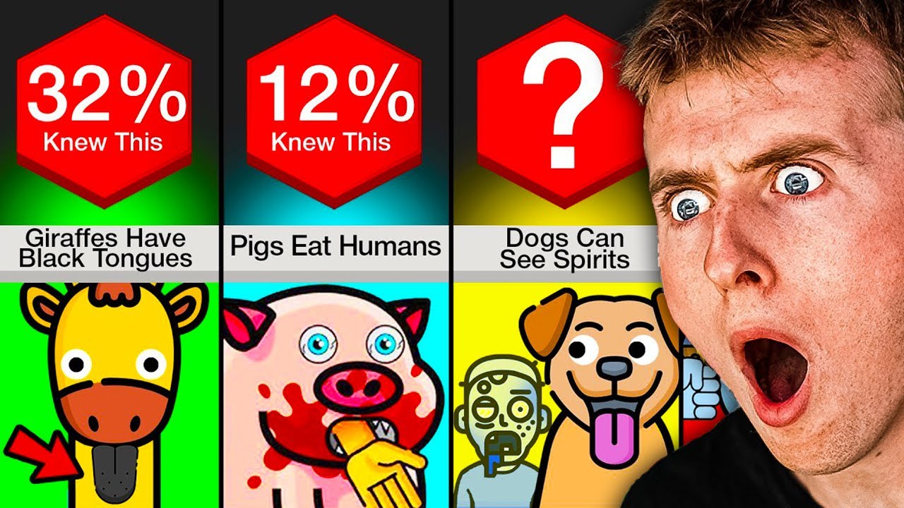 Animal Facts YOU Didn’t Know!