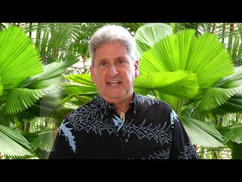 Anonymous donor endows $3M scholarships at UH Hilo, including 1st for LGBTQ+ students