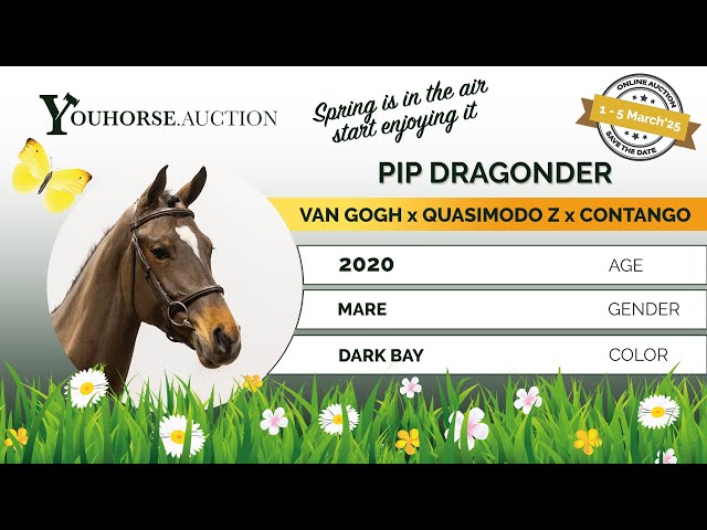 Pip Dragonder