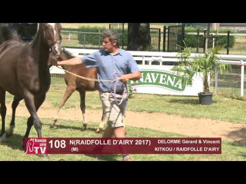 Chaser Day 2017 : Lot 108 - N(RAIDFOLLE D'AIRY 2017)