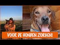 Tamara's vakantie is nu echt voorbij | DierenpraatTV