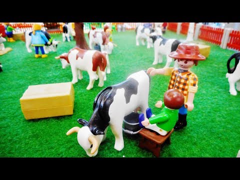 Playmobil FERME Country exposition