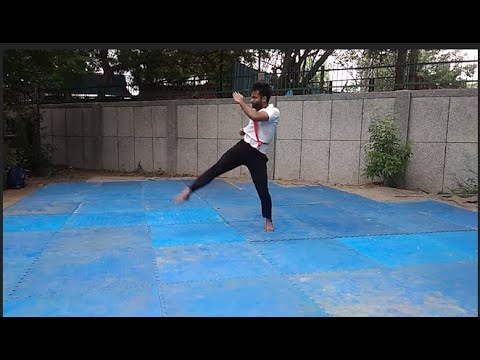 Raj Shekhar Kalaripayuttu Martial arts Video