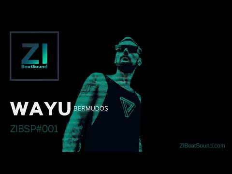 WAYU - #ZIBSP001 | Progressive  & Tech House | BERMUDOS | Phuket