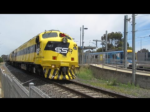 SSR Streamliner CLF1 leading the 1MC2 SSR Grain with a GM & 2 RL Classes to The Rock With Horn Shows