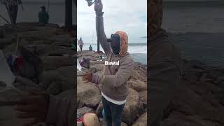 Download lagu MANCING MANIA STRIKE GAIS MONSTER BAWAL #fishing #mancingceria mp3