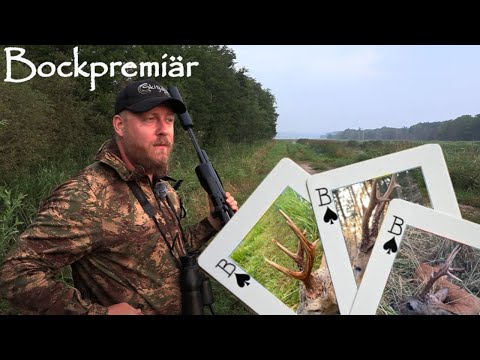 Dra på trissor vilken bockpremiär - Tre medaljbockar på premiärdagen