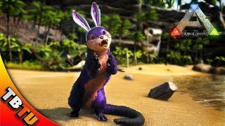 Ark Cute Otter Videos Ark Cute Otter Videos