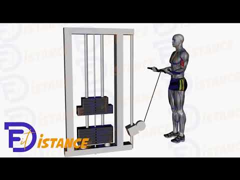 Exercice Curls à la poulie basse à la barre EZ