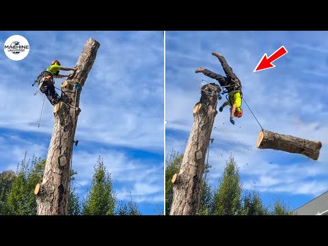 Idiots With Chainsaws: Tree Cutting Fails | Extreme Dangerous Logging Truck Fails #7