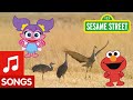 Sesame Street Dance Like A Crane Animal Dance 2