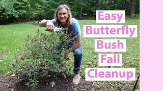Butterfly Bush Fall Pruning Cleanup, Deadheading &amp; Care (Buddleia spp. Buddleja)