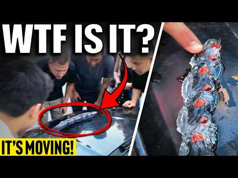 YouTube video