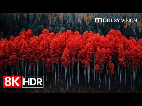 Colors of Earth in 8K HDR 120fps Dolby Vision – Nature’s Full Spectrum