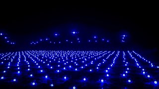 Disney Dreams That Soar show preview