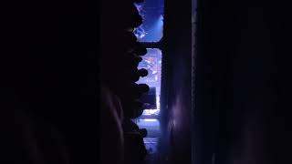 Shed Seven High Hopes